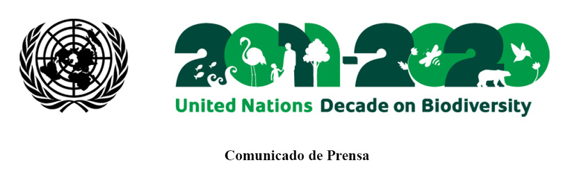 comunicado prensa CBD
