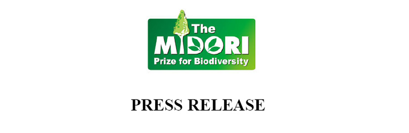 comunicado prensa CBD midori